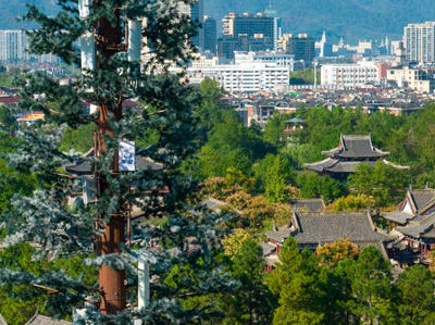 浙江電信全面建設(shè)5G-A網(wǎng)絡(luò)，為AI時(shí)代注入新動(dòng)能